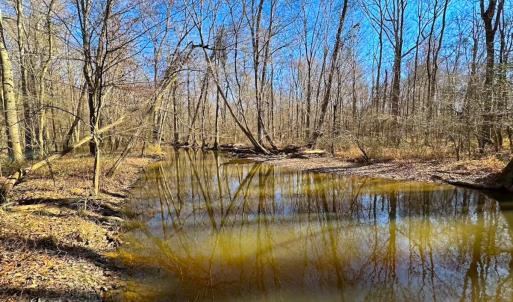 Photo #38 of Off Taylors Mill Road, Emporia, VA 107.0 acres