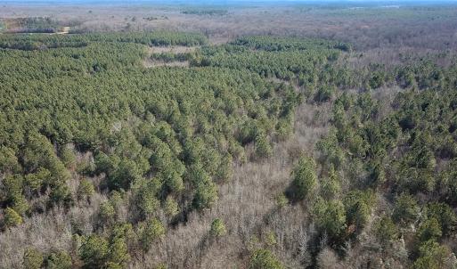 Photo #41 of Off Taylors Mill Road, Emporia, VA 107.0 acres
