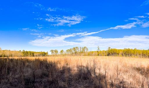 Photo #42 of Off Taylors Mill Road, Emporia, VA 107.0 acres