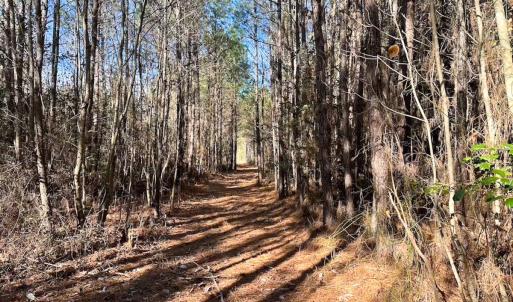 Photo #43 of Off Taylors Mill Road, Emporia, VA 107.0 acres
