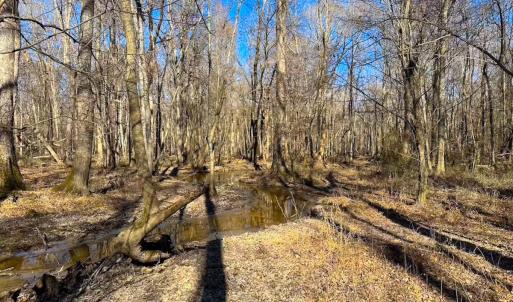 Photo #45 of Off Taylors Mill Road, Emporia, VA 107.0 acres