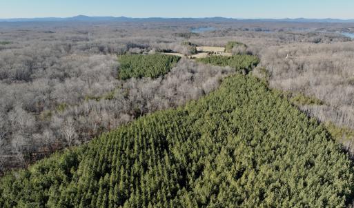 Photo #10 of Off of Dillards Hill Road, Union Hall, VA 37.7 acres