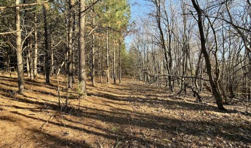 Photo #11 of Off of Dillards Hill Road, Union Hall, VA 37.7 acres