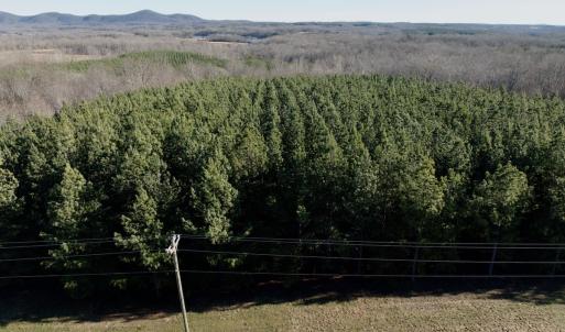 Photo #13 of Off of Dillards Hill Road, Union Hall, VA 37.7 acres