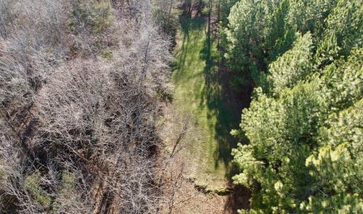 Photo #14 of Off of Dillards Hill Road, Union Hall, VA 37.7 acres