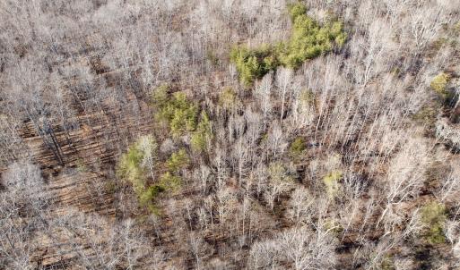 Photo #17 of Off of Dillards Hill Road, Union Hall, VA 37.7 acres