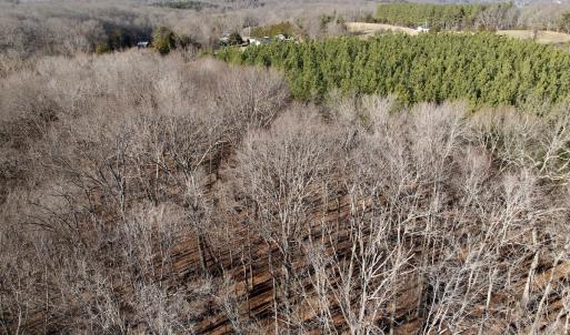 Photo #18 of Off of Dillards Hill Road, Union Hall, VA 37.7 acres