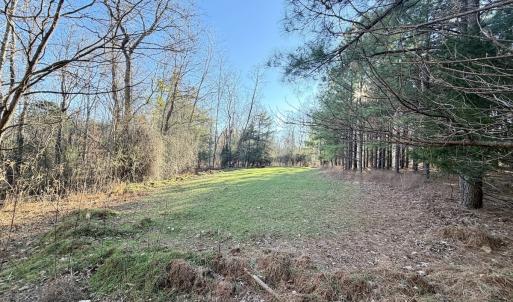 Photo #19 of Off of Dillards Hill Road, Union Hall, VA 37.7 acres