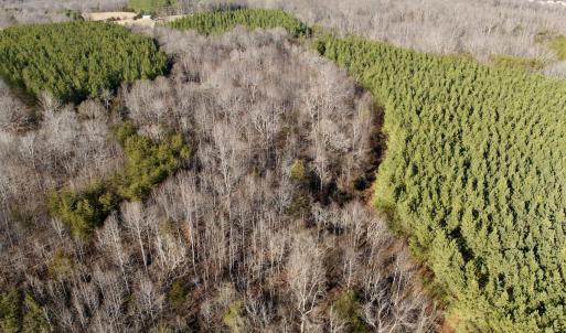 Photo #1 of Off of Dillards Hill Road, Union Hall, VA 37.7 acres