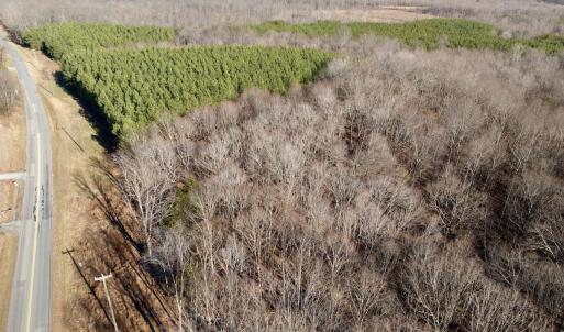 Photo #2 of Off of Dillards Hill Road, Union Hall, VA 37.7 acres
