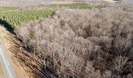 Photo #20 of Off of Dillards Hill Road, Union Hall, VA 37.7 acres