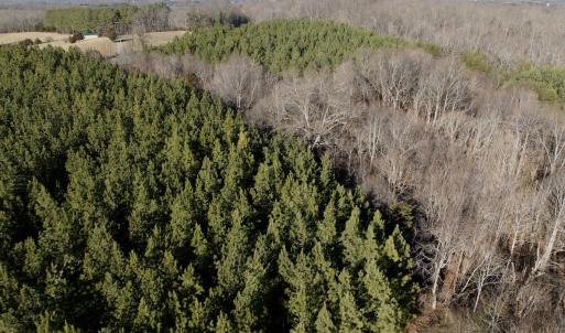 Photo #3 of Off of Dillards Hill Road, Union Hall, VA 37.7 acres