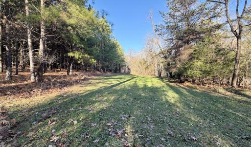 Photo #4 of Off of Dillards Hill Road, Union Hall, VA 37.7 acres
