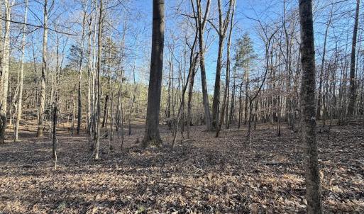 Photo #6 of Off of Dillards Hill Road, Union Hall, VA 37.7 acres