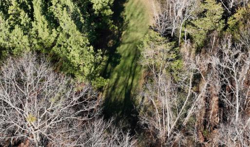 Photo #8 of Off of Dillards Hill Road, Union Hall, VA 37.7 acres