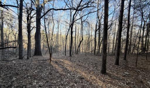 Photo #21 of Off of Dillards Hill Road, Union Hall, VA 37.7 acres