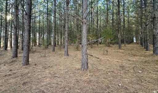 Photo #24 of Off of Dillards Hill Road, Union Hall, VA 37.7 acres