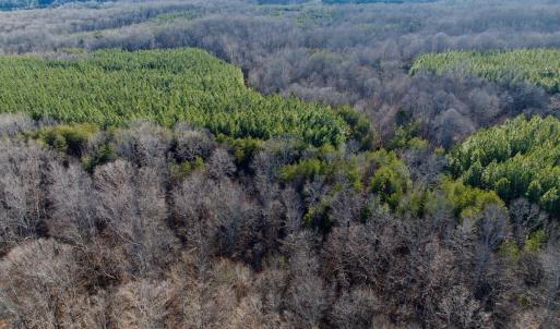 Photo #25 of Off of Dillards Hill Road, Union Hall, VA 37.7 acres