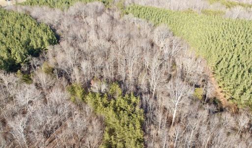 Photo #26 of Off of Dillards Hill Road, Union Hall, VA 37.7 acres