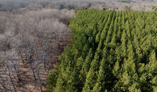 Photo #36 of Off of Dillards Hill Road, Union Hall, VA 37.7 acres