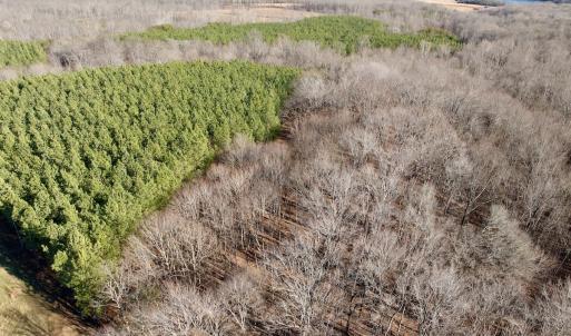 Photo #37 of Off of Dillards Hill Road, Union Hall, VA 37.7 acres