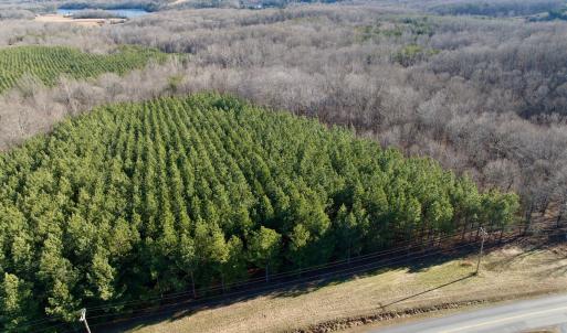 Photo #38 of Off of Dillards Hill Road, Union Hall, VA 37.7 acres