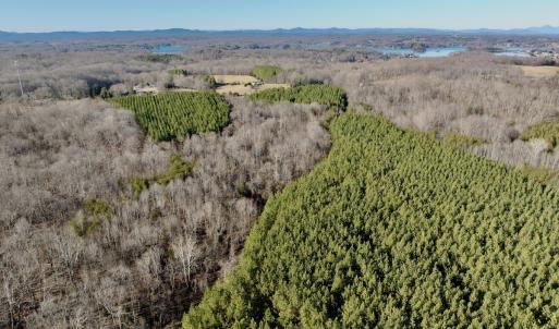 Photo #31 of Off of Dillards Hill Road, Union Hall, VA 37.7 acres
