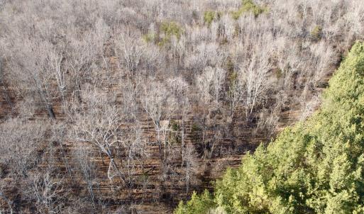 Photo #32 of Off of Dillards Hill Road, Union Hall, VA 37.7 acres