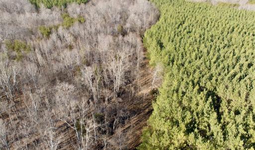 Photo #33 of Off of Dillards Hill Road, Union Hall, VA 37.7 acres