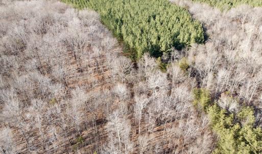 Photo #34 of Off of Dillards Hill Road, Union Hall, VA 37.7 acres