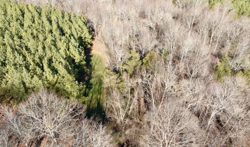 Photo #35 of Off of Dillards Hill Road, Union Hall, VA 37.7 acres