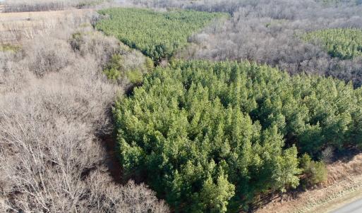 Photo #40 of Off of Dillards Hill Road, Union Hall, VA 37.7 acres