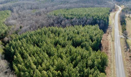 Photo #41 of Off of Dillards Hill Road, Union Hall, VA 37.7 acres