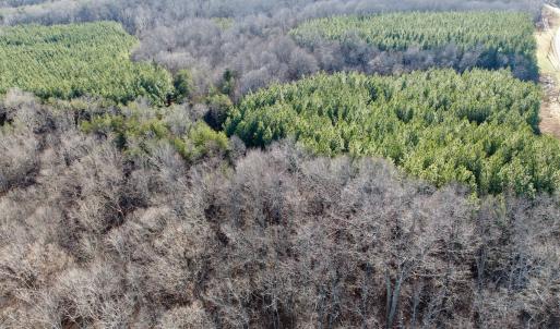 Photo #42 of Off of Dillards Hill Road, Union Hall, VA 37.7 acres