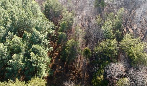 Photo #43 of Off of Dillards Hill Road, Union Hall, VA 37.7 acres