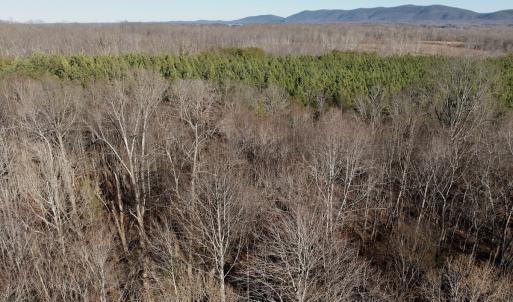 Photo #45 of Off of Dillards Hill Road, Union Hall, VA 37.7 acres