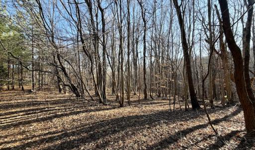Photo #50 of Off of Dillards Hill Road, Union Hall, VA 37.7 acres