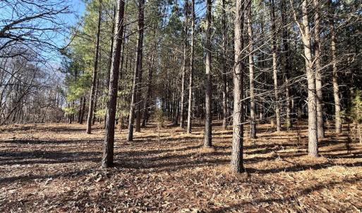 Photo #51 of Off of Dillards Hill Road, Union Hall, VA 37.7 acres