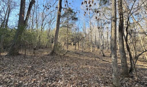 Photo #53 of Off of Dillards Hill Road, Union Hall, VA 37.7 acres