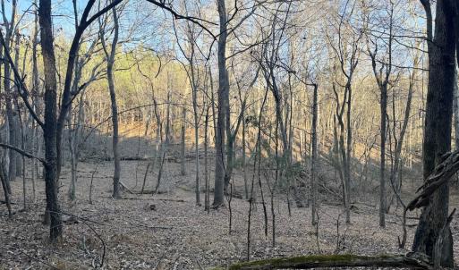 Photo #55 of Off of Dillards Hill Road, Union Hall, VA 37.7 acres