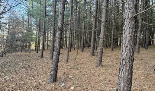 Photo #56 of Off of Dillards Hill Road, Union Hall, VA 37.7 acres