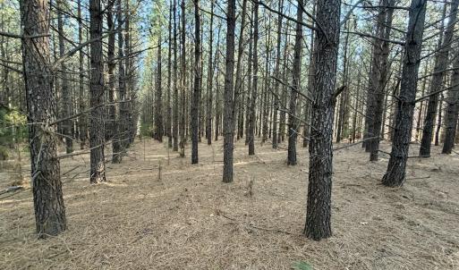 Photo #58 of Off of Dillards Hill Road, Union Hall, VA 37.7 acres