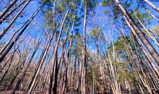 Photo #1 of Off Hwy 98, Spring Hope, NC 12.8 acres