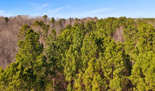 Photo #12 of Off Hwy 98, Spring Hope, NC 12.8 acres