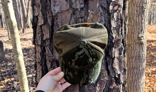 Photo #13 of Off Hwy 98, Spring Hope, NC 12.8 acres