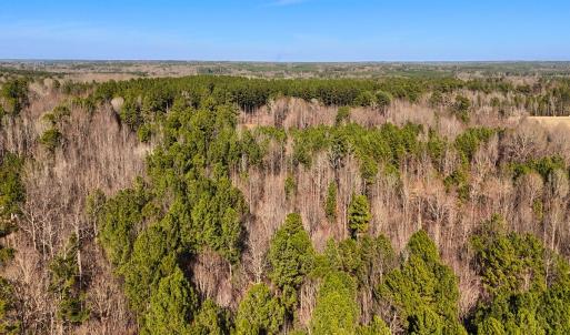 Photo #15 of Off Hwy 98, Spring Hope, NC 12.8 acres