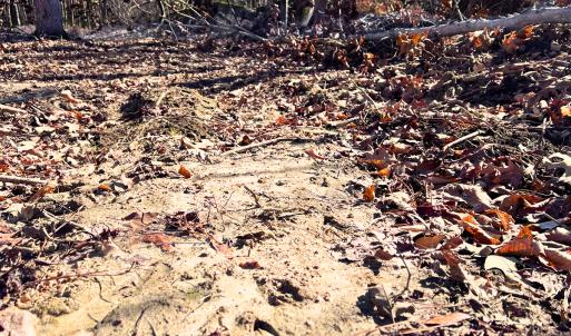 Photo #16 of Off Hwy 98, Spring Hope, NC 12.8 acres