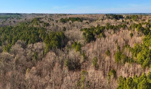 Photo #18 of Off Hwy 98, Spring Hope, NC 12.8 acres
