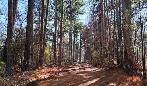 Photo #5 of Off Hwy 98, Spring Hope, NC 12.8 acres