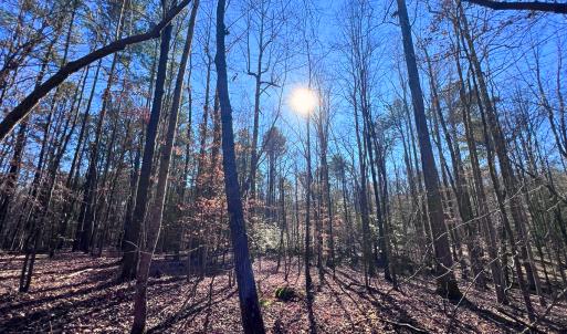 Photo #7 of Off Hwy 98, Spring Hope, NC 12.8 acres